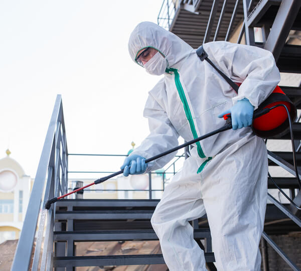 Работа наших сотрудников