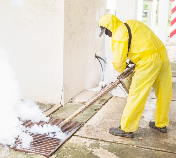 Работа наших сотрудников